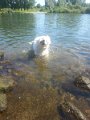 20150605_151549 (1)